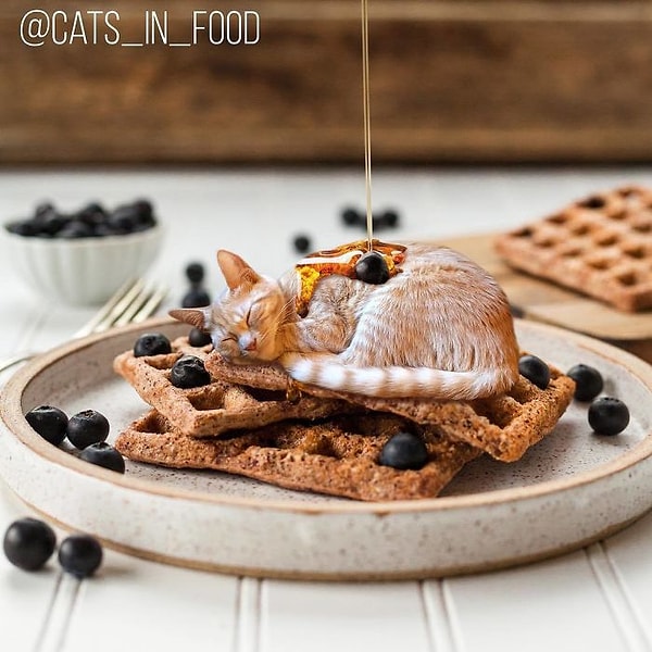 3. В подавляющей части коллажей котейки совмещены с десертами, что делает эти фото максимально милыми.