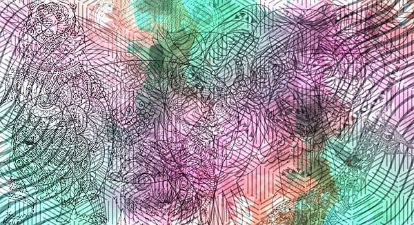 Какое животное вы увидели первым?