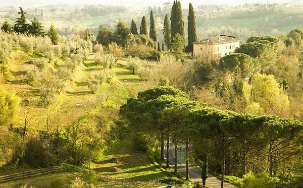 7. Если флаг Венгрии повернуть на 90 градусов по часовой стрелке, то получится флаг...