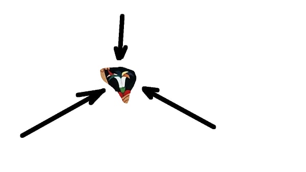 12. А этот цветочек вы могли видеть в мультфильме....