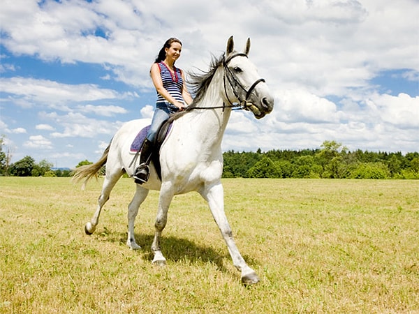 2. А этот афоризм чей: «Какой русский не любит быстрой езды»?