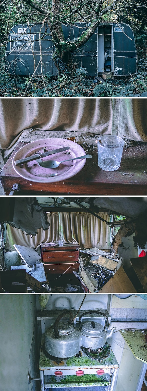 18. Хозяин просто покинул свой дом