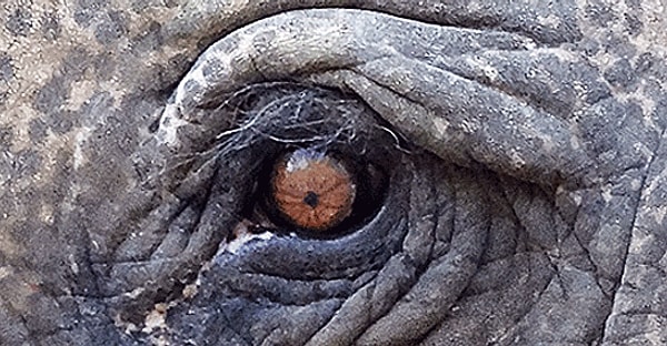 9. Интересно... Кто это?