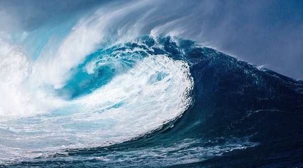 3. Сколько океанов на планете Земля?