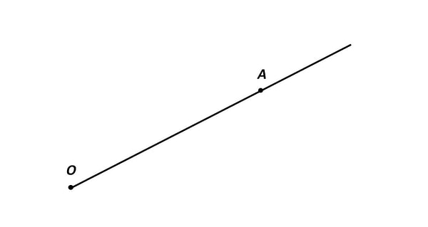 4. Как называют прямую, ограниченную точками?
