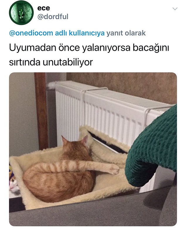 17.