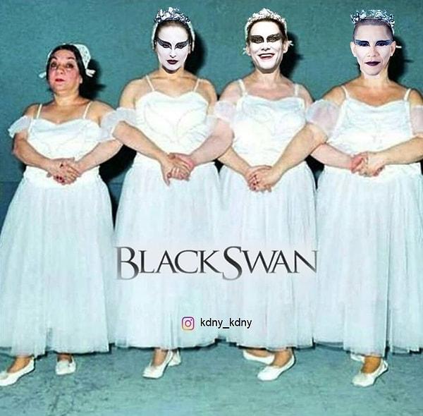 16. Black Swan