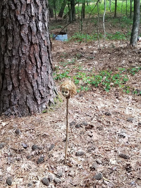 7. Как вам такая находка?