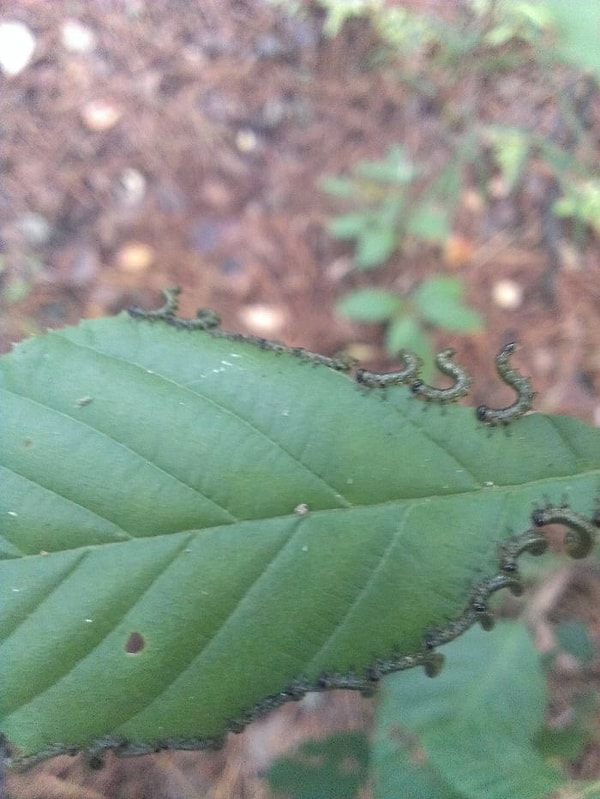 9. Как у них все красиво и организованно