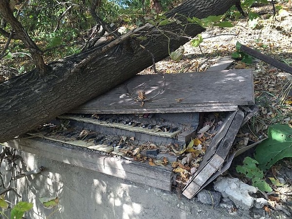 11. А когда-то здесь играла музыка!