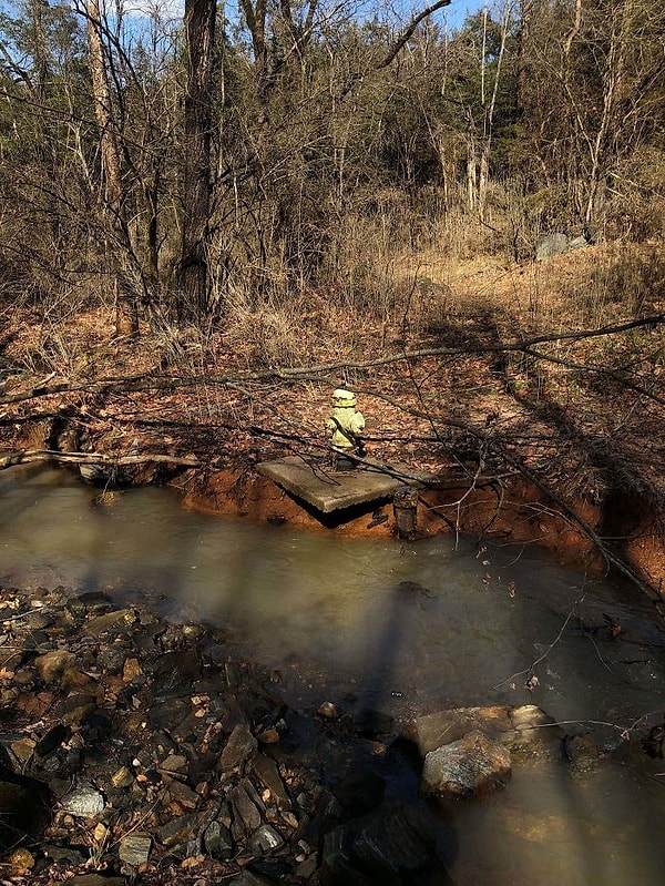 20. Странно обнаружить пожарный гидрант далеко от цивилизации и на берегу реки