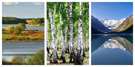 Тест правда или ложь: Если вы внимательно слушали учителя по географии России, то этот тест не сможет вас обмануть