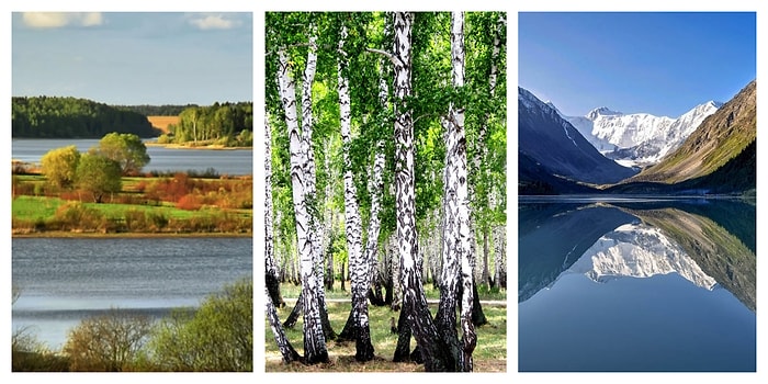 Тест правда или ложь: Если вы внимательно слушали учителя по географии России, то этот тест не сможет вас обмануть