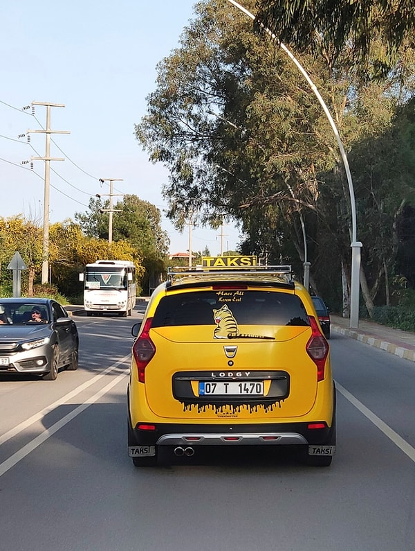 12. Турецкое кототакси!