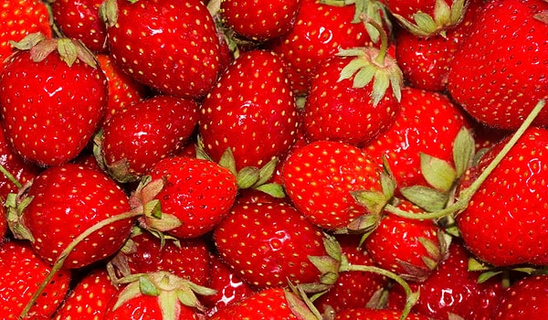 Вы утонченный человек, который прекрасно разбирается в искусстве и моде и ценит прекрасное