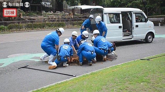 Japonya, ülkede bulunan hayvanat bahçesi çalışanlarının herhangi bir kaçış durumunda hazır olup olmadıklarından emin olmak için bu tarz senaryoları canlandırıyor.
