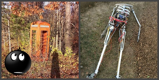 Как это там оказалось? Странные вещи, найденные в лесу