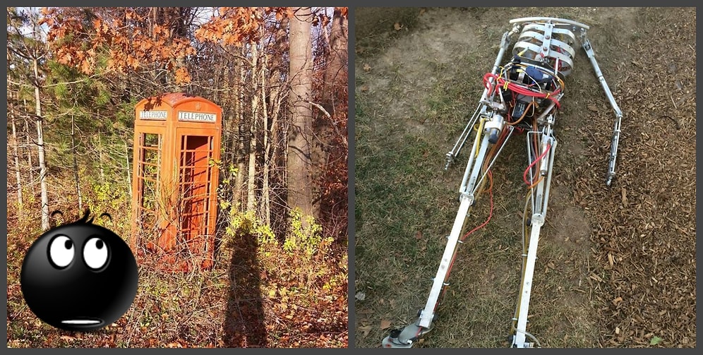 Как это там оказалось? Странные вещи, найденные в лесу