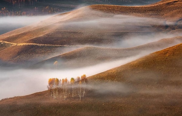 23. Холм в золоте