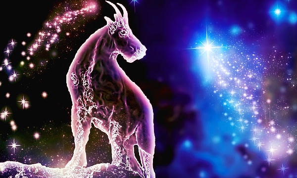 Вы - Козерог!