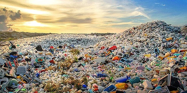 Genetiği değiştirilmiş bakteri; plastiği, karbondioksit ve su içinde etkili bir şekilde çözebiliyor.