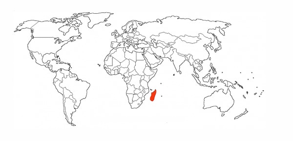 10. Тут точно....