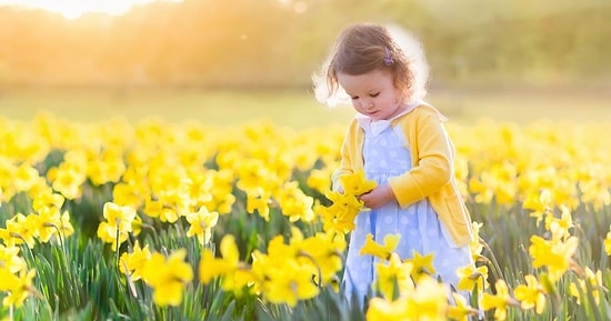 Тест: Выбрав цветок, вы узнаете о себе много нового