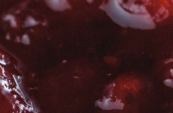 8. И, наконец, перед вами...