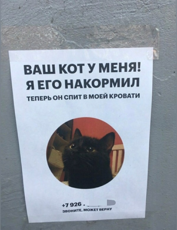 5. Оригинальное объявление :)