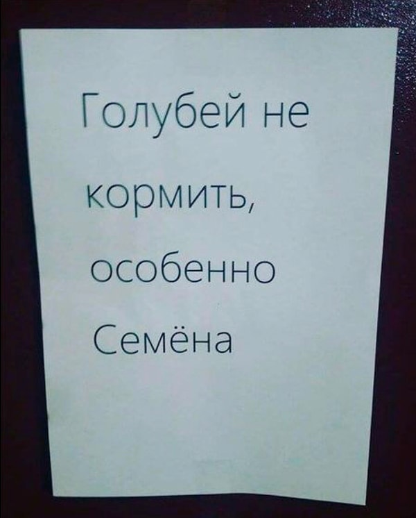 11. А чем Семен-то не угодил?