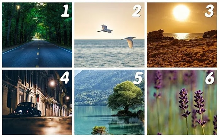 Тест-предсказание: Откуда вам ждать счастья?