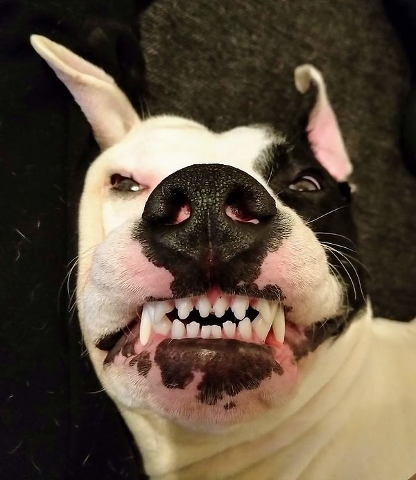 6. "Чего тебе?"