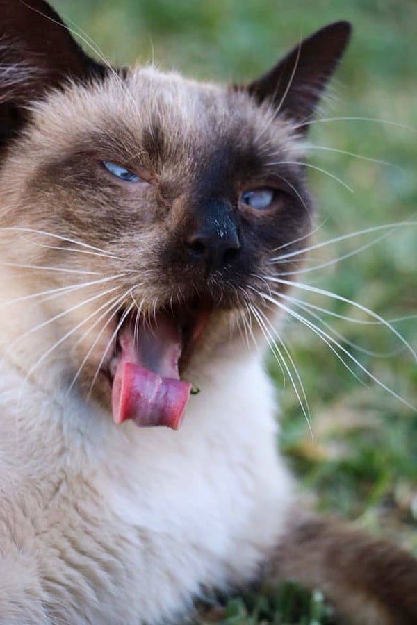 7. Когда немного окосел от усталости