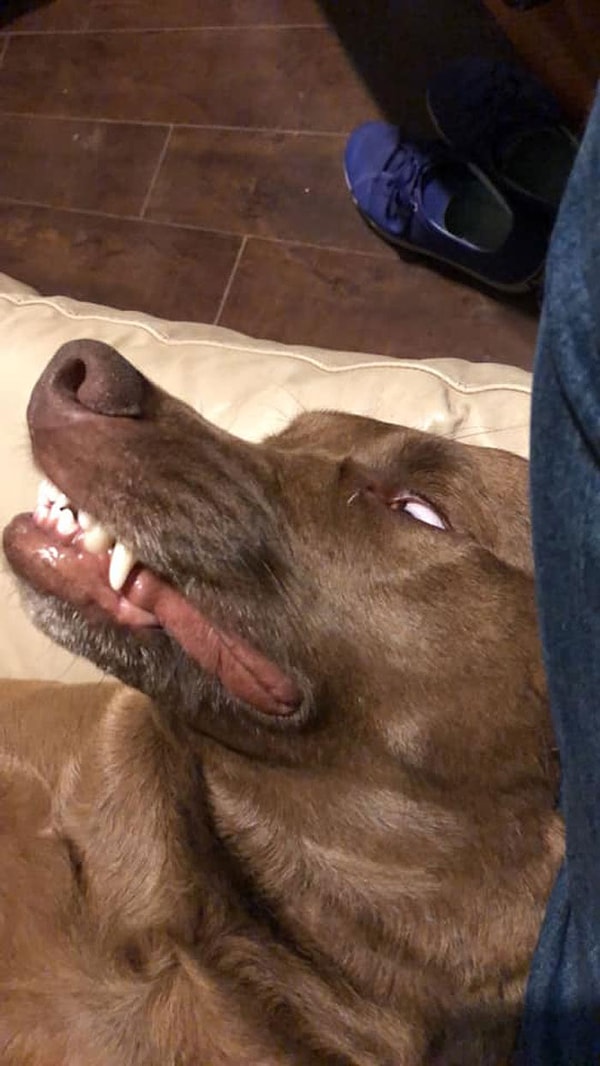 8. Он так спит