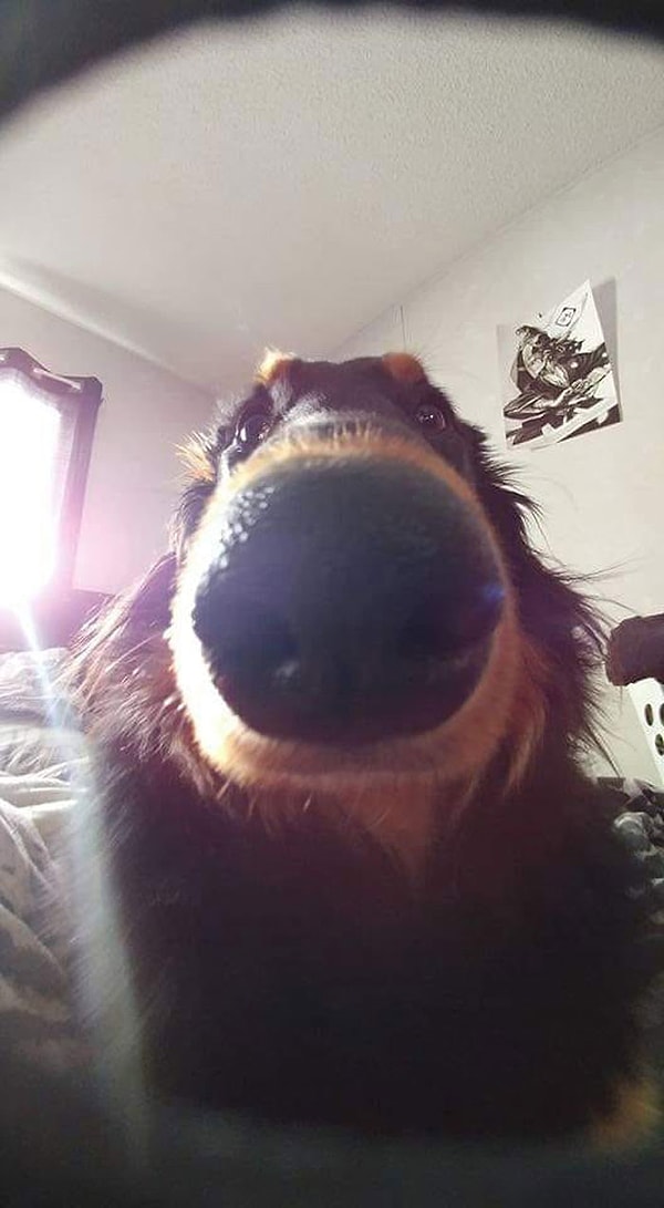 9. "Привет, друзья!"