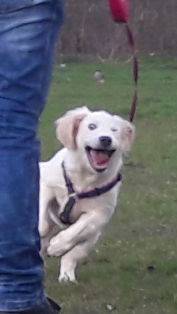 17. "А мне весело!"