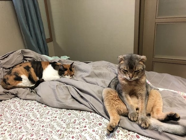 20. Похмелье выглядит так