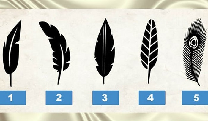 Тест: Вы - выбираете перо, мы - характеризуем вашу личность