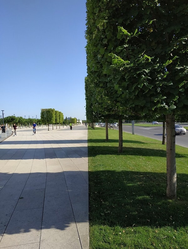 24. Идеальное утро в Краснодарском парке