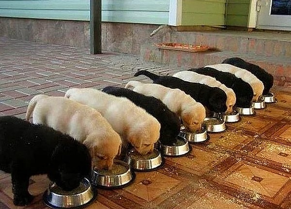 Вас ничего не смущает?