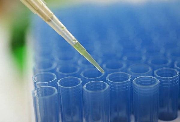 4. Какое животное в 2007 году впервые родилось в Таиланде, зачатое путем искусственного оплодотворения?