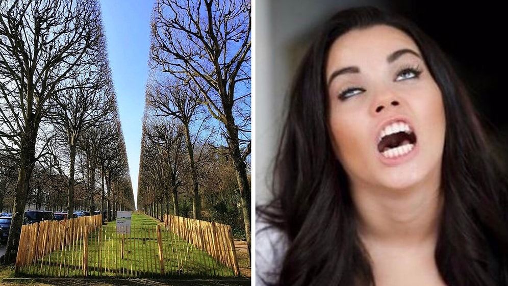 24 реальные фотографии, от которых у любого перфекциониста случится оргазм