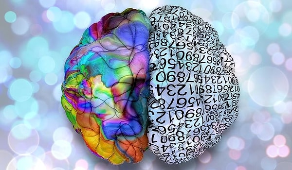 У вас больше развито левое полушарие: