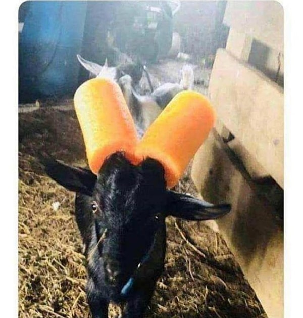 3. Простой способ обезоружить дерзкую и опасную деревенскую козу а-ля рус