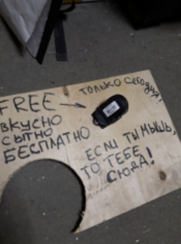 18. У мышей нет шансов!