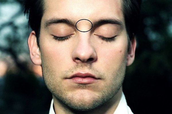 4. Глабелла - это пространство между бровями.