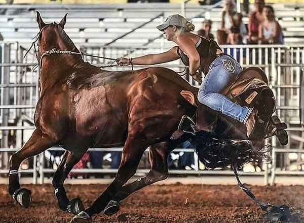 16. Кони — отдельно, люди — отдельно