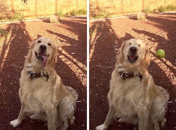 20. Бедняга пытался поймать мяч, а получил по носу