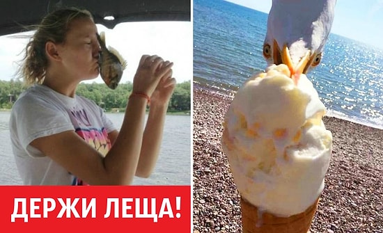 24 фото, на которых один миг решает все и даже больше