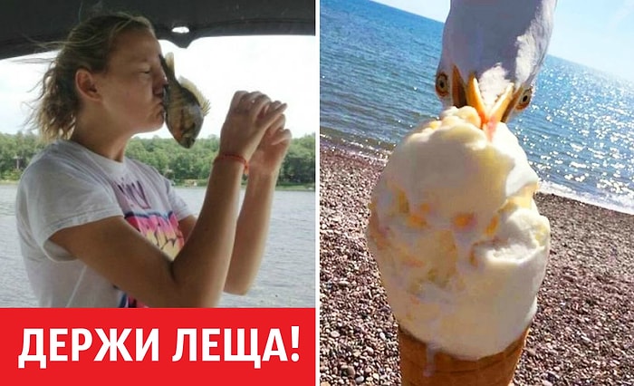 24 фото, на которых один миг решает все и даже больше